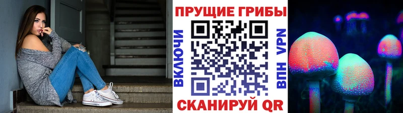 гидра ссылка  Александровск  Галлюциногенные грибы GOLDEN TEACHER  купить  сайты 